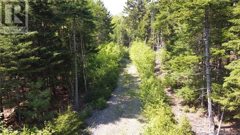 0 Shore Road, St George, New Brunswick  E5C 3L2 - Photo 17 - NB119741