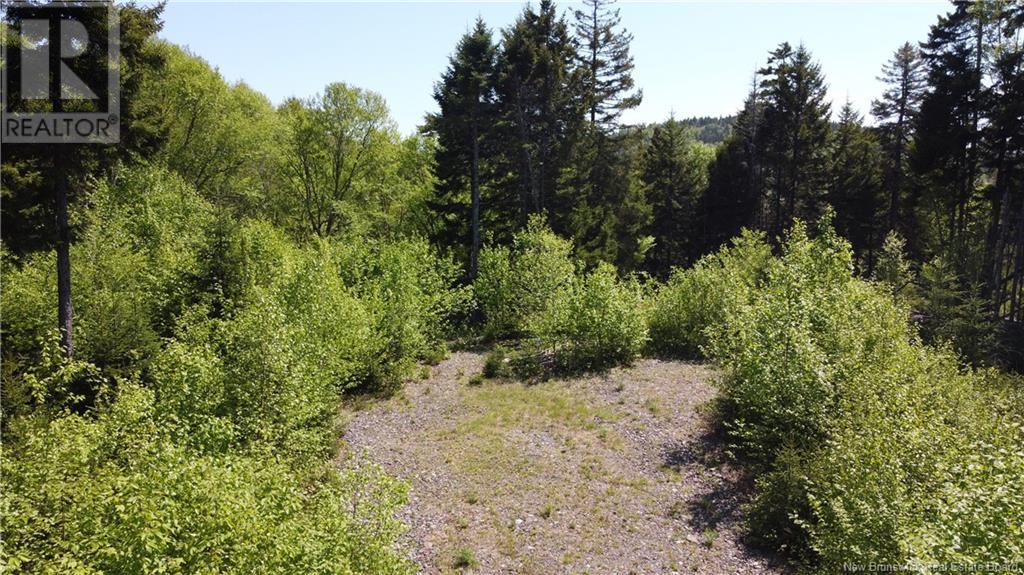 0 Shore Road, St George, New Brunswick  E5C 3L2 - Photo 18 - NB119741