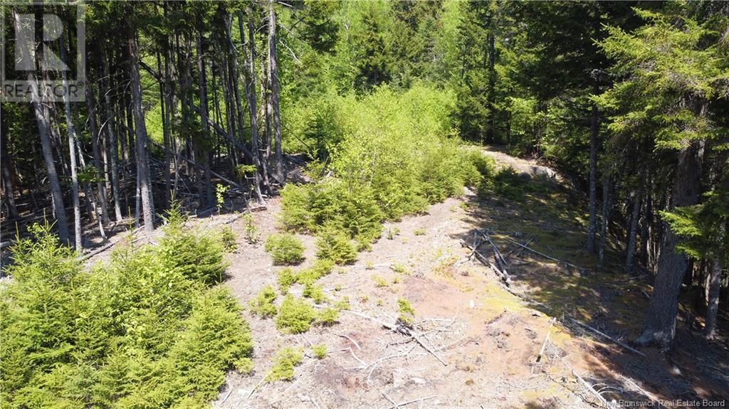 0 Shore Road, St George, New Brunswick  E5C 3L2 - Photo 24 - NB119741