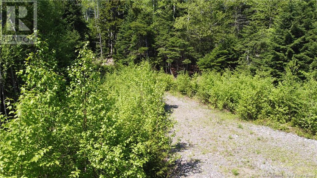 0 Shore Road, St George, New Brunswick  E5C 3L2 - Photo 25 - NB119741