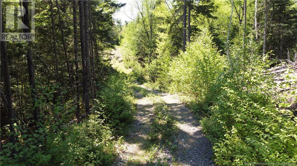 0 Shore Road, St George, New Brunswick  E5C 3L2 - Photo 26 - NB119741