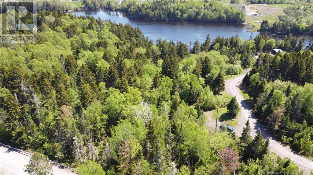 0 Shore Road, St George, New Brunswick  E5C 3L2 - Photo 3 - NB119741