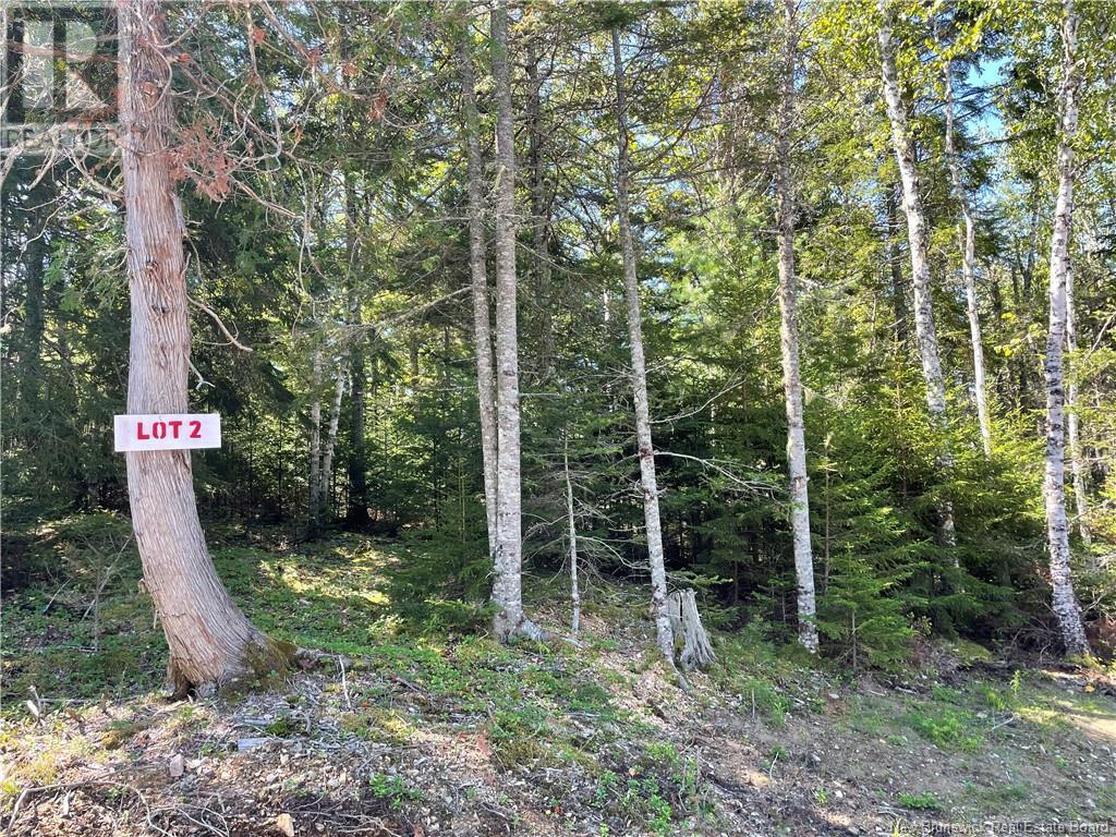 Osprey Lane, St George, New Brunswick E5C 3R2 - Photo 7 - NB119520