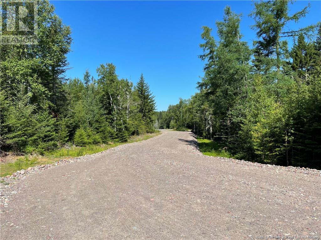 Osprey Lane, St George, New Brunswick E5C 3R2 - Photo 8 - NB119520