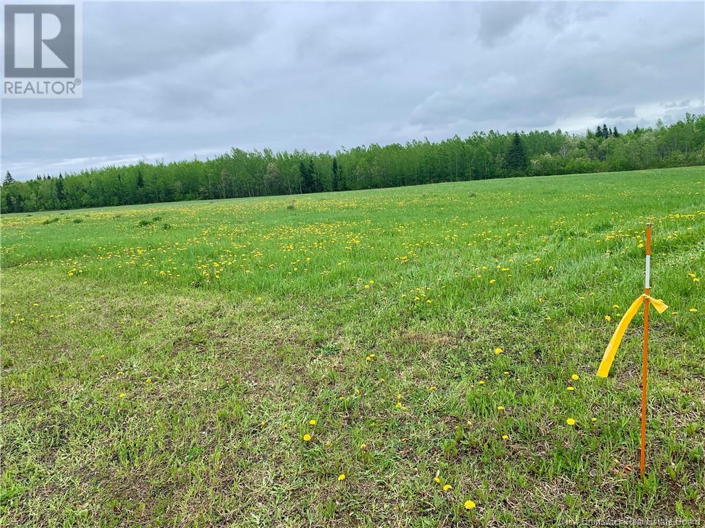 300 Camp Chaleur, Charlo, New Brunswick  E8E 2B6 - Photo 2 - NB119813