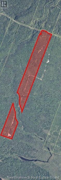 36.84 Hec Belledune Colony Road, Belledune, New Brunswick  E8G 1Z6 - Photo 2 - NB119891
