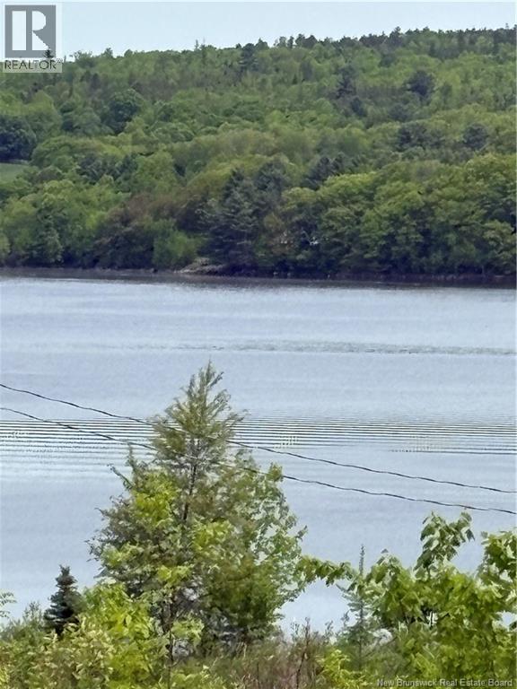 Swan Lane, Lower Prince William, New Brunswick  E6K 3Y6 - Photo 10 - NB119845