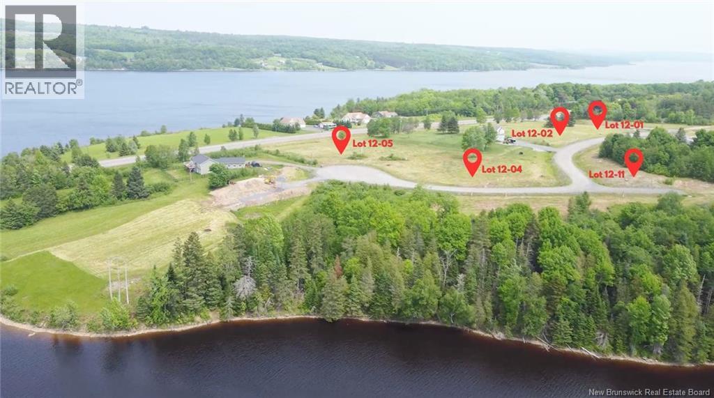 Swan Lane, Lower Prince William, New Brunswick  E6K 3Y6 - Photo 2 - NB119845