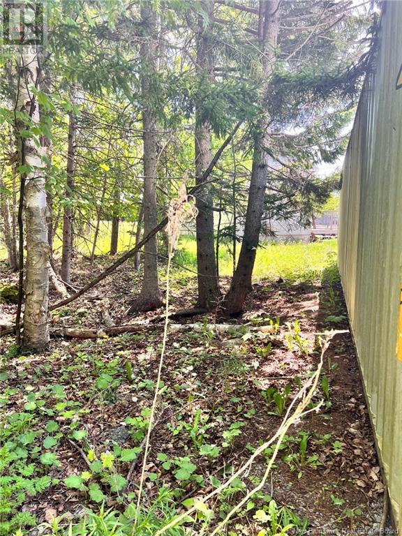 355 Hampton Road, Quispamsis, New Brunswick  E2E 4W1 - Photo 23 - NB119802