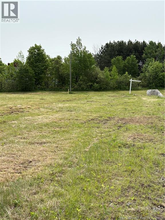 Swan Lane, Lower Prince William, New Brunswick  E6K 3Y6 - Photo 12 - NB119676