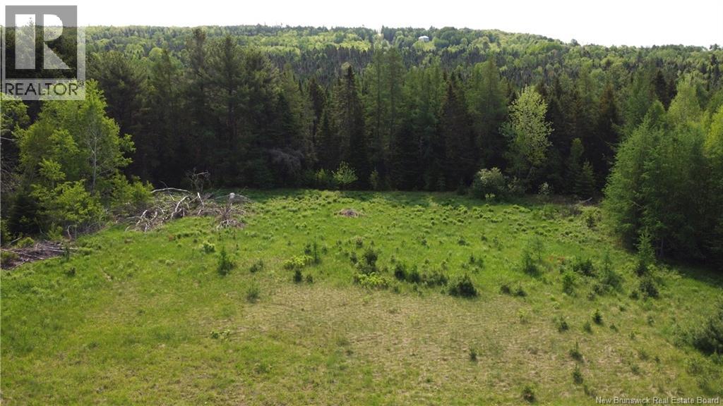 2271 Route 127, Waweig, New Brunswick  E3L 4L3 - Photo 34 - NB120015