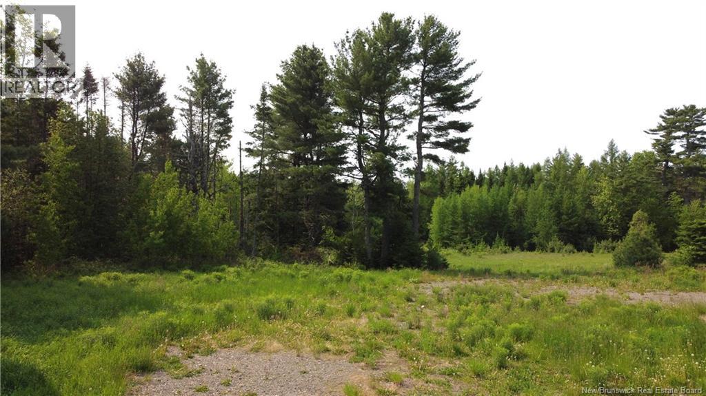 2271 Route 127, Waweig, New Brunswick  E3L 4L3 - Photo 35 - NB120015