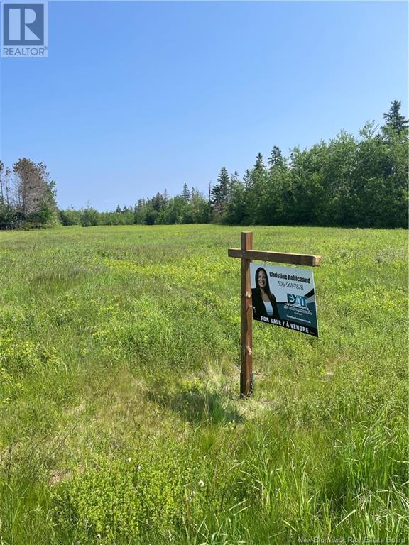 Lot 79-8 Des Bleuets Street, Trois Ruisseaux, New Brunswick  E4N 2T5 - Photo 4 - NB119964