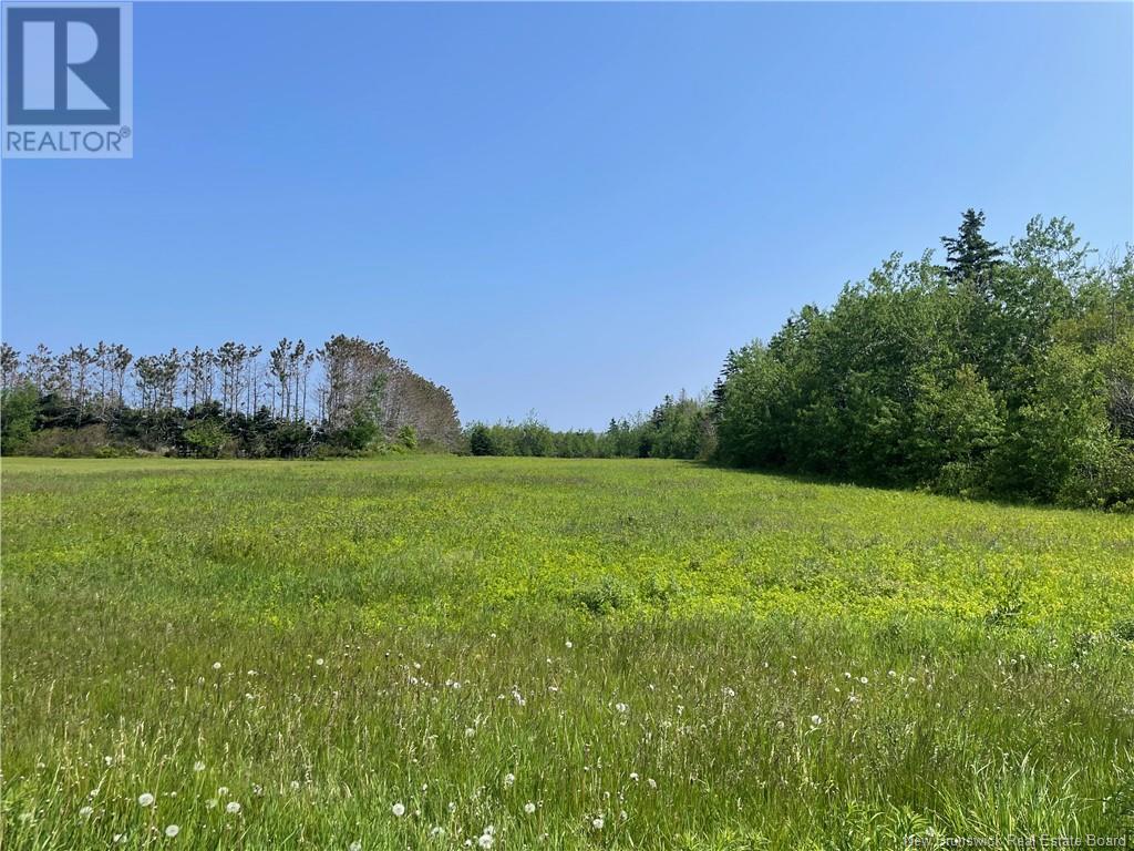 Lot 79-8 Des Bleuets Street, Trois Ruisseaux, New Brunswick  E4N 2T5 - Photo 5 - NB119964