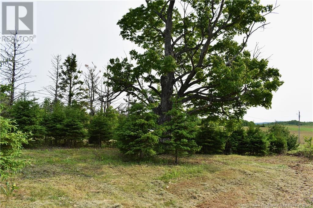 604 Charleston Road, Charleston, New Brunswick  E7K 1Z7 - Photo 21 - NB120094