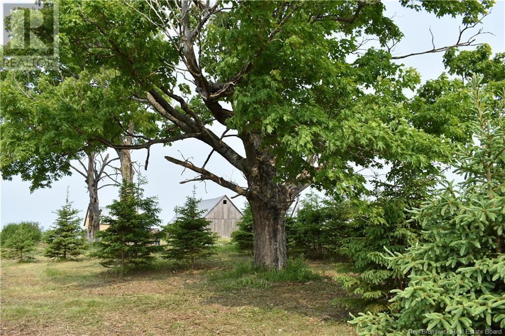 604 Charleston Road, Charleston, New Brunswick  E7K 1Z7 - Photo 23 - NB120094