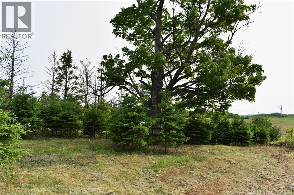 604 Charleston Road, Charleston, New Brunswick  E7K 1Z7 - Photo 28 - NB120094