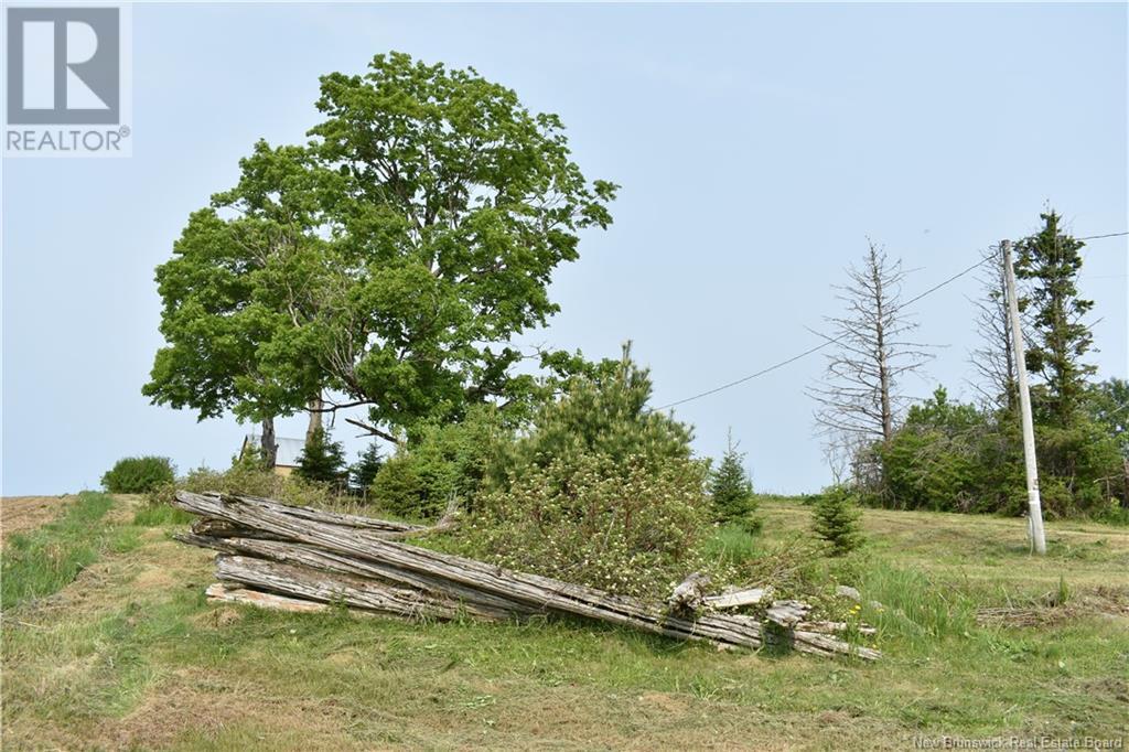 604 Charleston Road, Charleston, New Brunswick  E7K 1Z7 - Photo 3 - NB120094