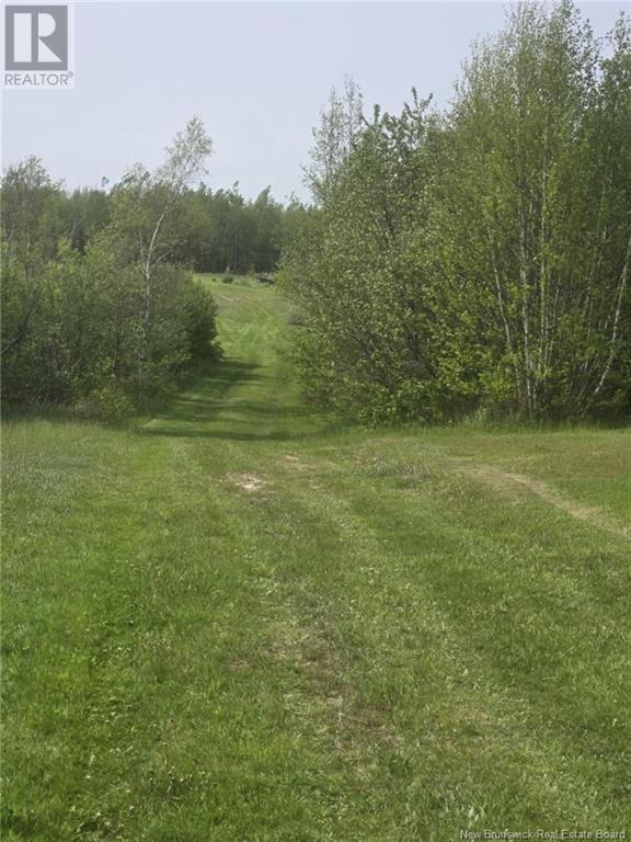 Vacant Lot 2023-2 Ch. Riviere-Du-Portage Nd, Rivière-Du-Portage, New Brunswick  E9H 1R2 - Photo 13 - NB120013