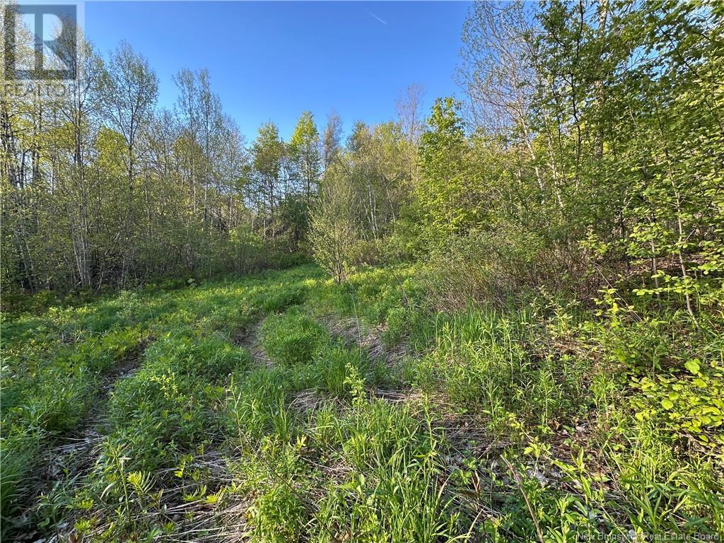 Highfield Road, Pearsonville, New Brunswick