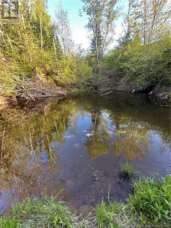 Highfield Road, Pearsonville, New Brunswick E5P 1T2 - Photo 10 - NB120198