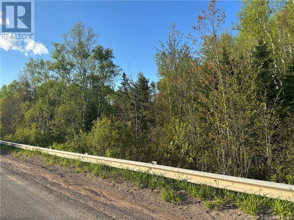 Highfield Road, Pearsonville, New Brunswick E5P 1T2 - Photo 5 - NB120198