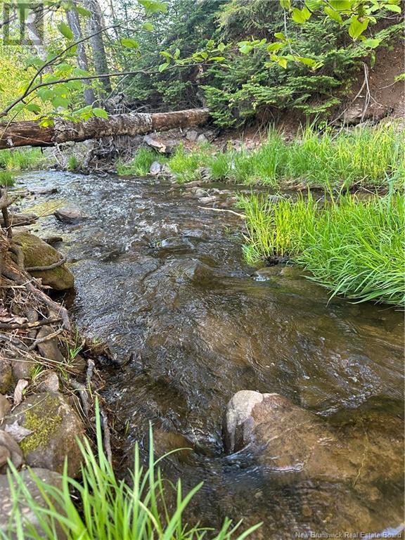 Highfield Road, Pearsonville, New Brunswick E5P 1T2 - Photo 7 - NB120198