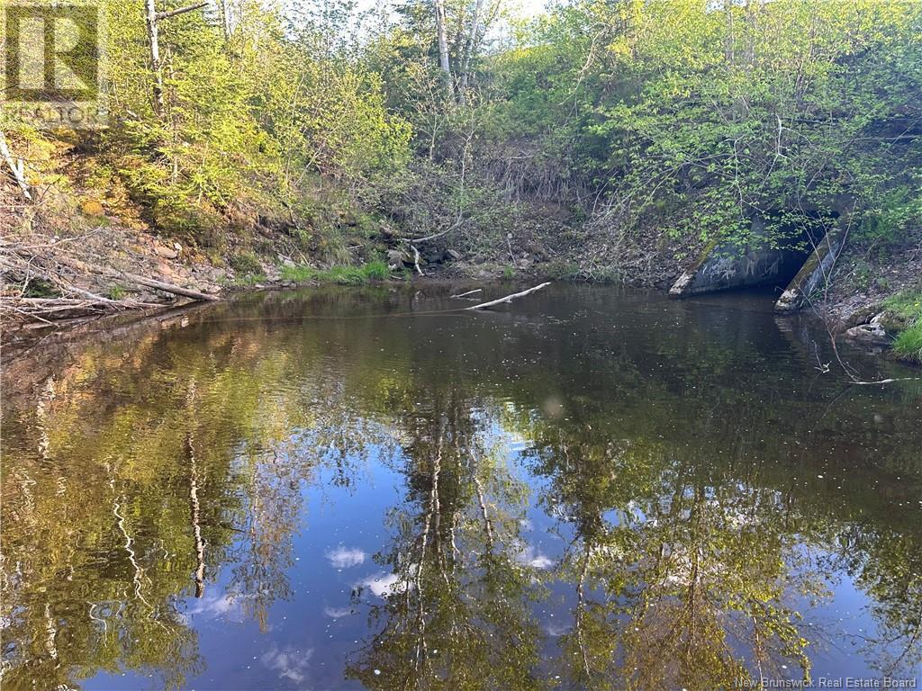 Highfield Road, Pearsonville, New Brunswick E5P 1T2 - Photo 8 - NB120198