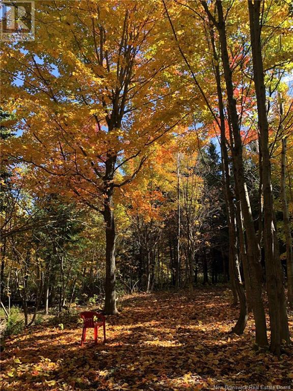 15 Benjamin Portage North, Benjamin River, New Brunswick  E8G 1N9 - Photo 40 - NB120188