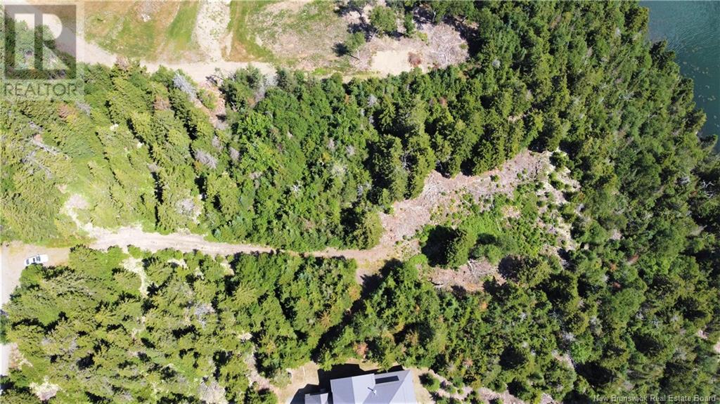 Lot 7 Kilmarnock Head, Chamcook, New Brunswick  E5B 0A9 - Photo 11 - NB120152