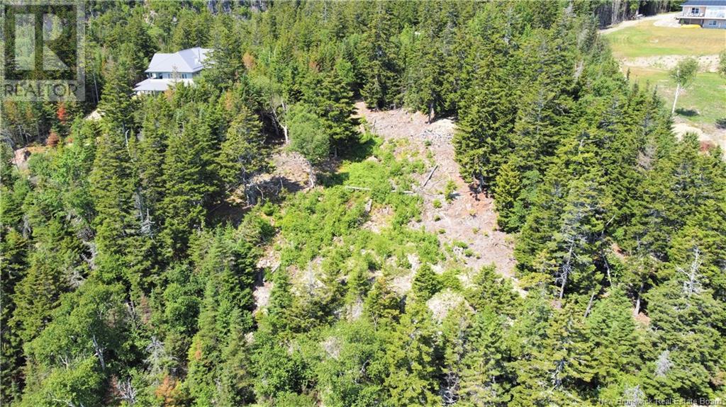 Lot 7 Kilmarnock Head, Chamcook, New Brunswick  E5B 0A9 - Photo 12 - NB120152