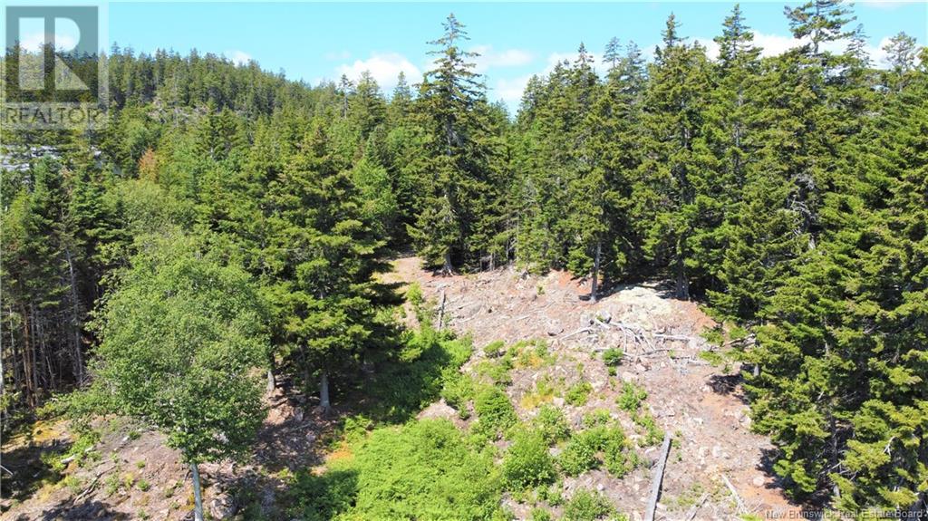 Lot 7 Kilmarnock Head, Chamcook, New Brunswick  E5B 0A9 - Photo 13 - NB120152
