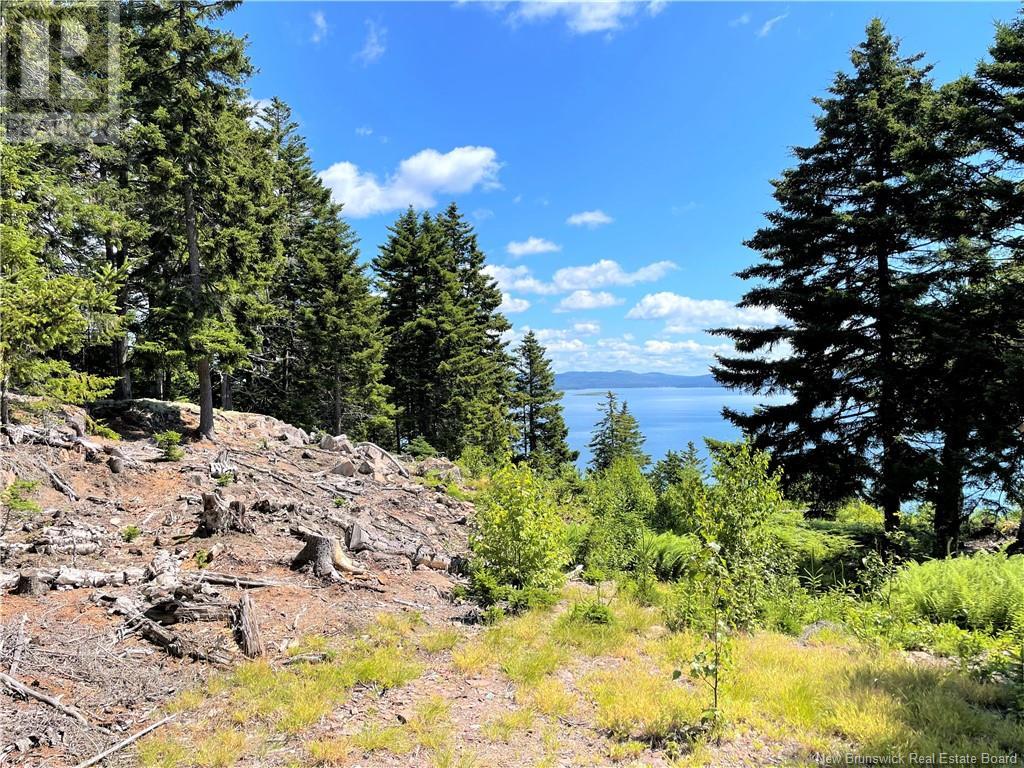 Lot 7 Kilmarnock Head, Chamcook, New Brunswick  E5B 0A9 - Photo 14 - NB120152