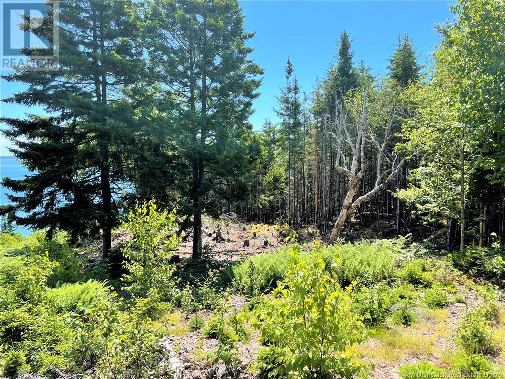 Lot 7 Kilmarnock Head, Chamcook, New Brunswick  E5B 0A9 - Photo 15 - NB120152