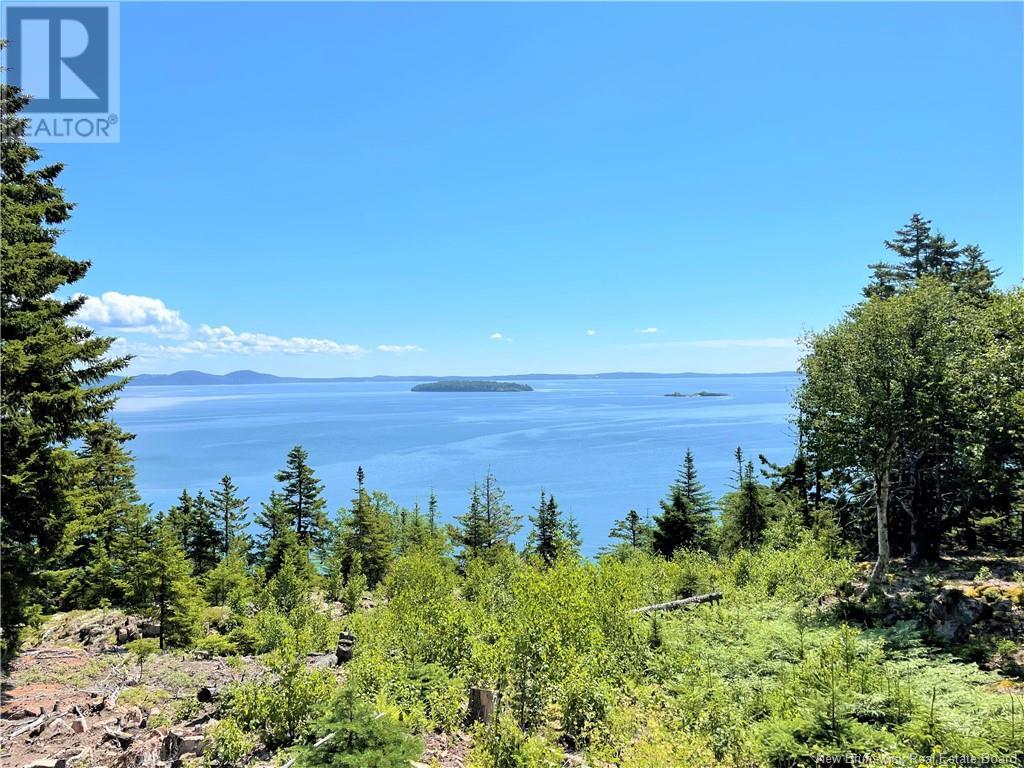 Lot 7 Kilmarnock Head, Chamcook, New Brunswick  E5B 0A9 - Photo 16 - NB120152