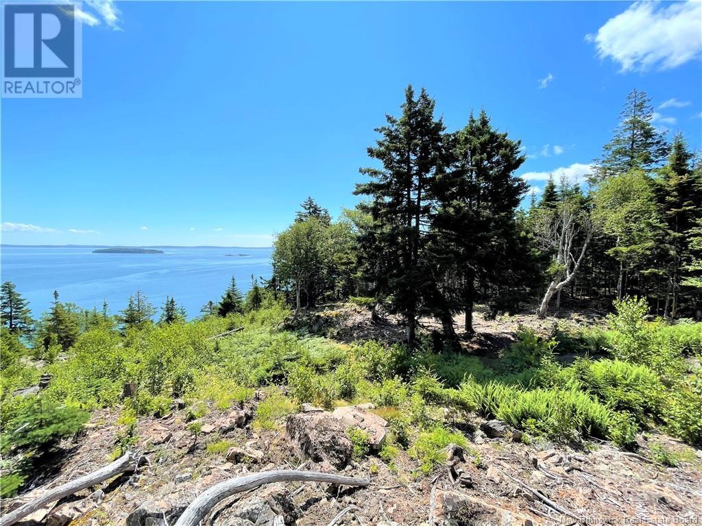 Lot 7 Kilmarnock Head, Chamcook, New Brunswick  E5B 0A9 - Photo 17 - NB120152