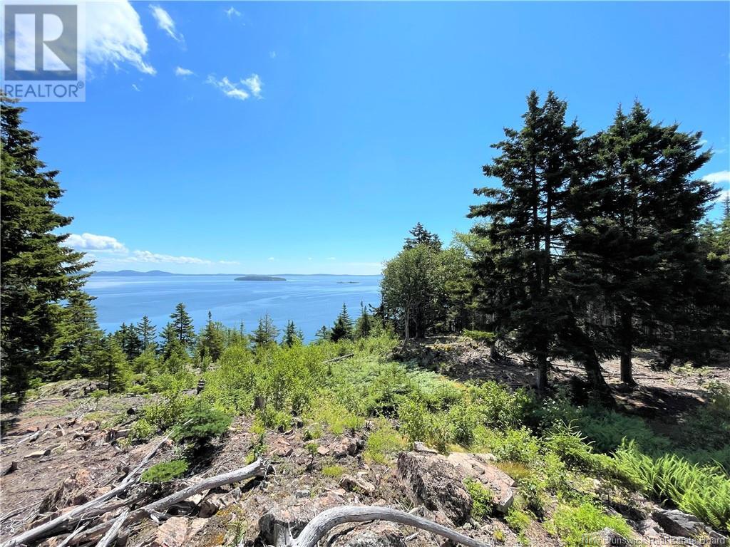 Lot 7 Kilmarnock Head, Chamcook, New Brunswick  E5B 0A9 - Photo 18 - NB120152