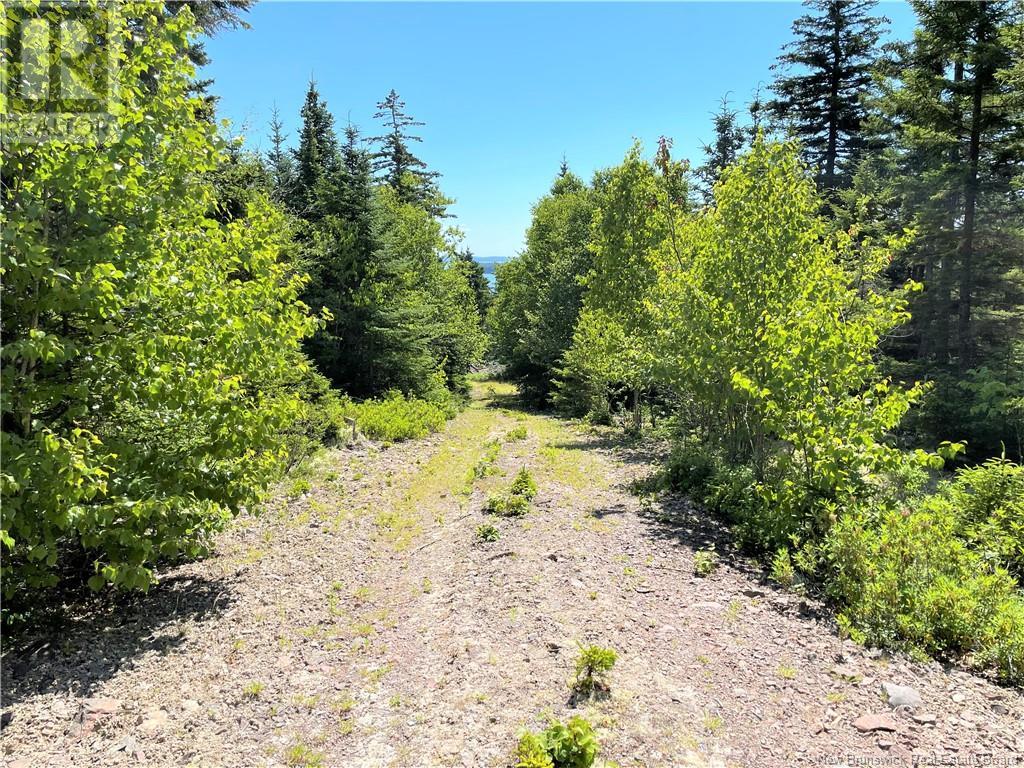 Lot 7 Kilmarnock Head, Chamcook, New Brunswick  E5B 0A9 - Photo 22 - NB120152