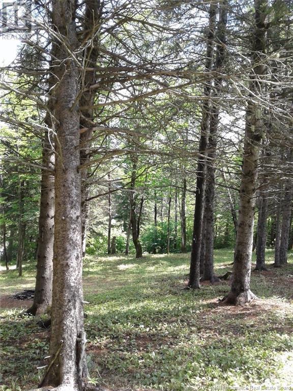 Lot Route 2, Edmundston, New Brunswick  E7B 2B1 - Photo 2 - NB120319
