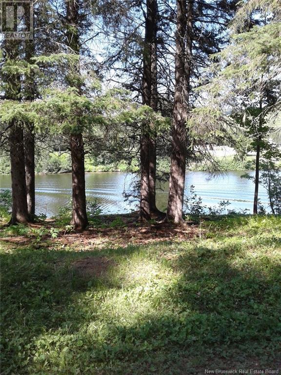 Lot Route 2, Edmundston, New Brunswick  E7B 2B1 - Photo 3 - NB120319