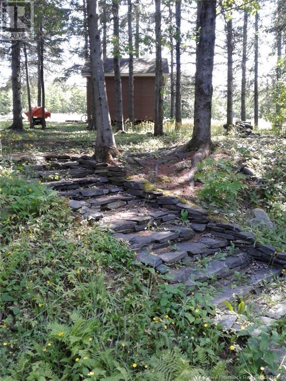 Lot Route 2, Edmundston, New Brunswick  E7B 2B1 - Photo 4 - NB120319