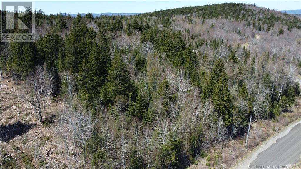 Mitchell Road, Grand Bay-Westfield, New Brunswick  E5K 1K1 - Photo 19 - NB120345