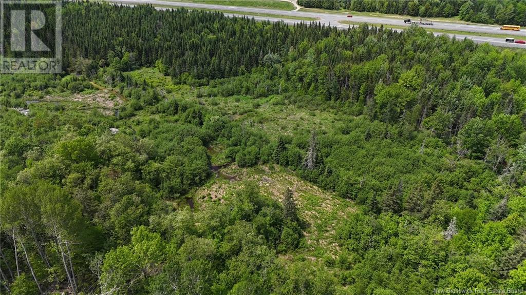 00 Route 1, Oak Bay, New Brunswick E3L 3Y5 - Photo 3 - NB120384