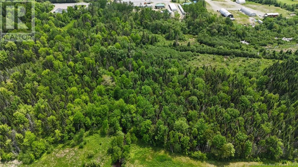 00 Route 1, Oak Bay, New Brunswick E3L 3Y5 - Photo 4 - NB120384