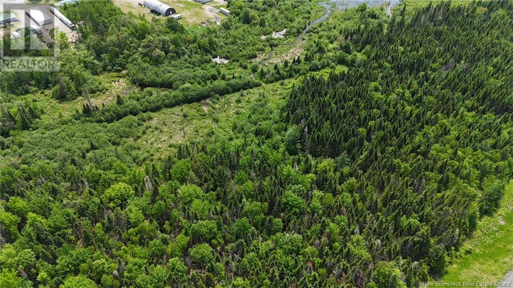 00 Route 1, Oak Bay, New Brunswick E3L 3Y5 - Photo 7 - NB120384