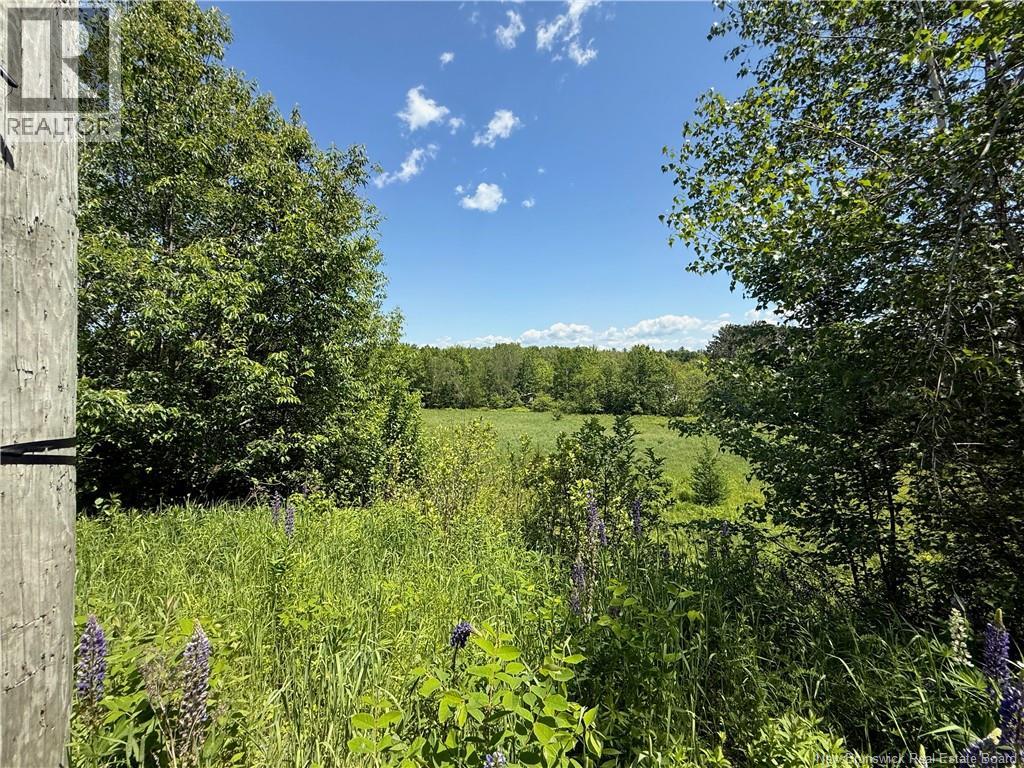 975 Northside Drive, Minto, New Brunswick E4B 3G5 - Photo 17 - NB118569