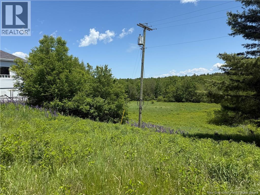 975 Northside Drive, Minto, New Brunswick E4B 3G5 - Photo 18 - NB118569