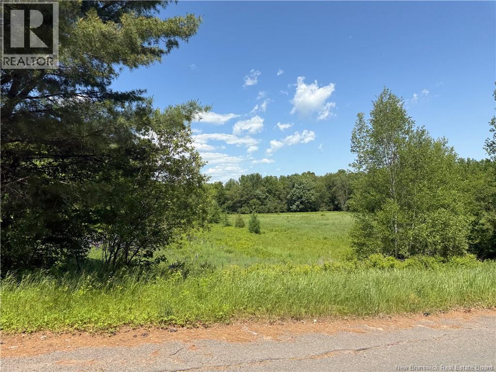 975 Northside Drive, Minto, New Brunswick E4B 3G5 - Photo 19 - NB118569