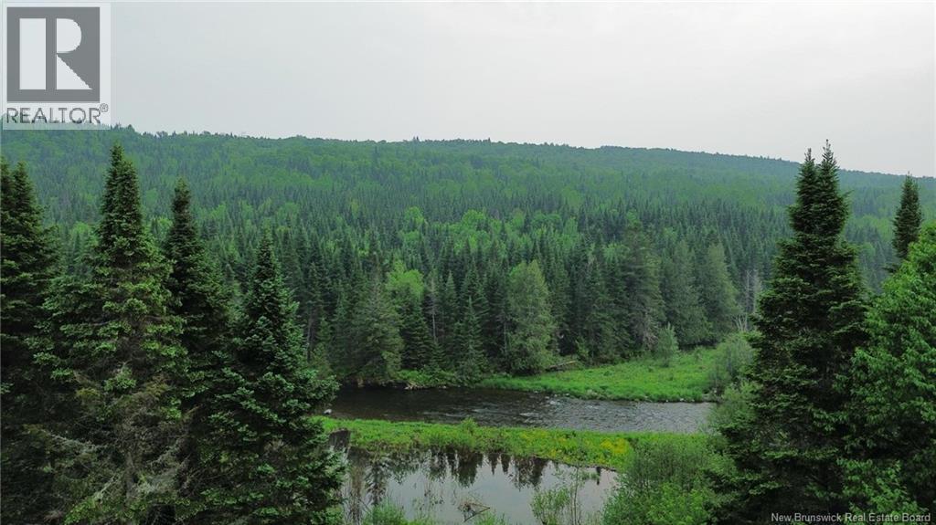 131 Feeney Road, Gordonsville, New Brunswick  E7L 2N3 - Photo 18 - NB120472