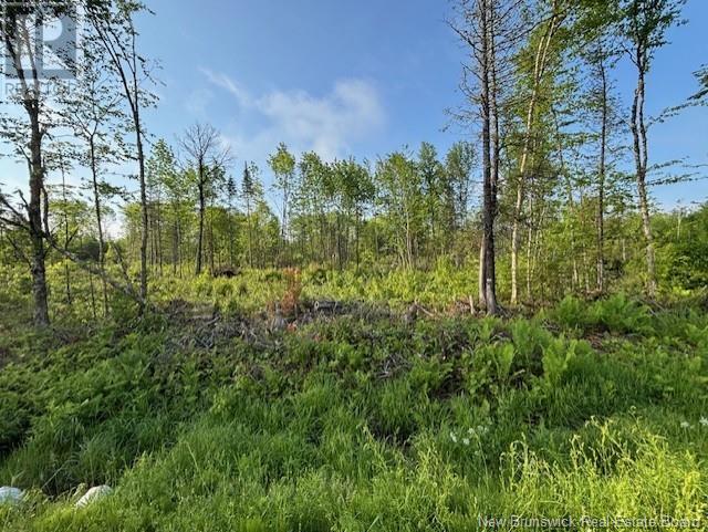 000 Upper Tower Hill Road, Tower Hill, New Brunswick E5A 2P3 - Photo 1 - NB120589
